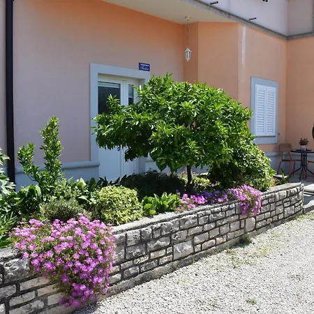 Apartman Fachin Motovun Exterior photo