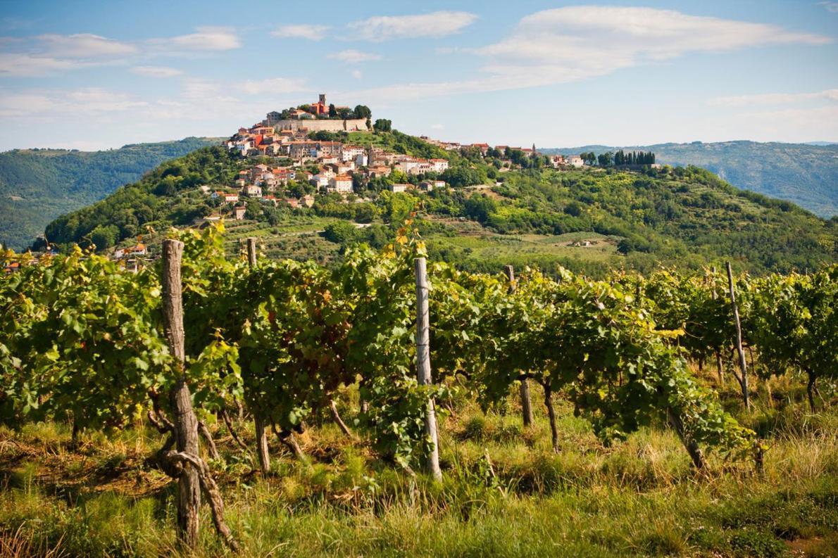 Fachin Apartmán Motovun